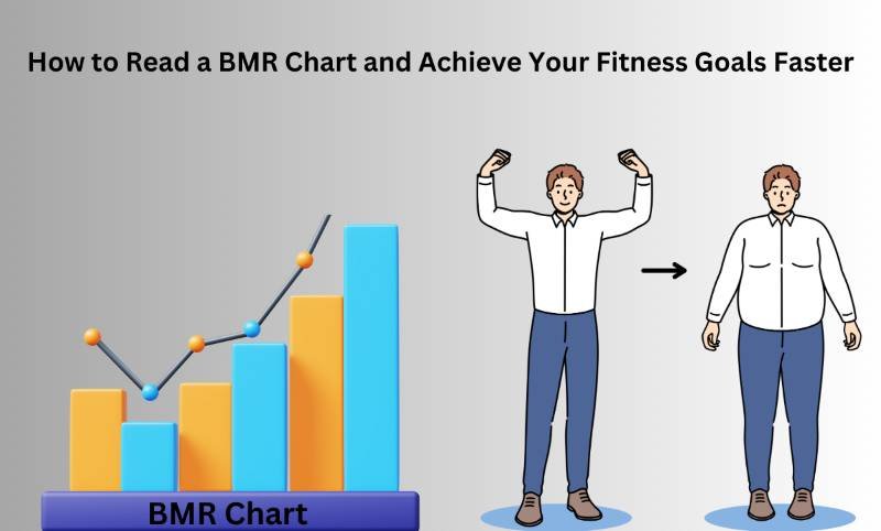 how to read a bmr chart , your fitness goals faster